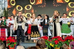 BUFTEA_1DECEMBRIE_5-690-scaled