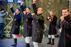 BUFTEA_1DECEMBRIE_5-953-scaled